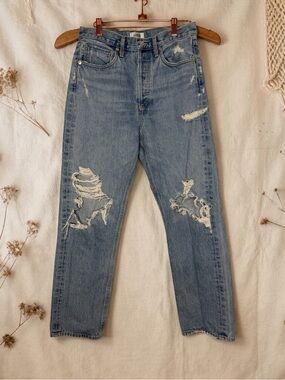 REVOLVE Agolde 90's Mid Rise Loose Fit Jeans in Fall Out 26